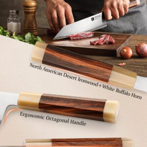 XINZUO 8 Inches Japanese Kiritsuke Chef Knife, Super ZDP-189 Steel Knife, Professional Cooking Knife for Chefs&Home, 67HRC, Ergonomic Octagonal Handle with Desert Ironwood