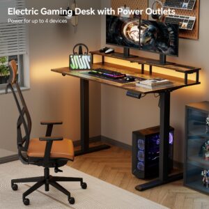 Mr IRONSTONE Electric Standing Desk with Monitor Shelf, 47" x 27" Height Adjustable Desk with 3 AC Outlets & 2 USB Ports, Sit Stand Up Desk Home Office Computer Desk (Rustic Brown)