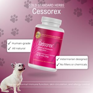 Cessorex Allergy Relief and Skin Immune Function Support Supplement for Dogs by Gold Standard Herbs, All Natural Bupleurum Combination, 250 gram Powder