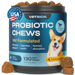 probiotics for dogs - dog probiotics for digestive health - dog gut health probiotics - pet probiotics for dogs gut health digestive & immune support - probiotic chews for dogs with digestive enzymes