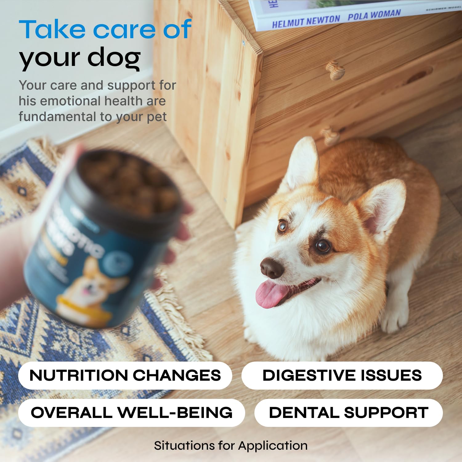 Probiotics for Dogs - Dog Probiotics for Digestive Health - Dog Gut Health Probiotics - Pet Probiotics for Dogs Gut Health Digestive & Immune Support - Probiotic Chews for Dogs with Digestive Enzymes