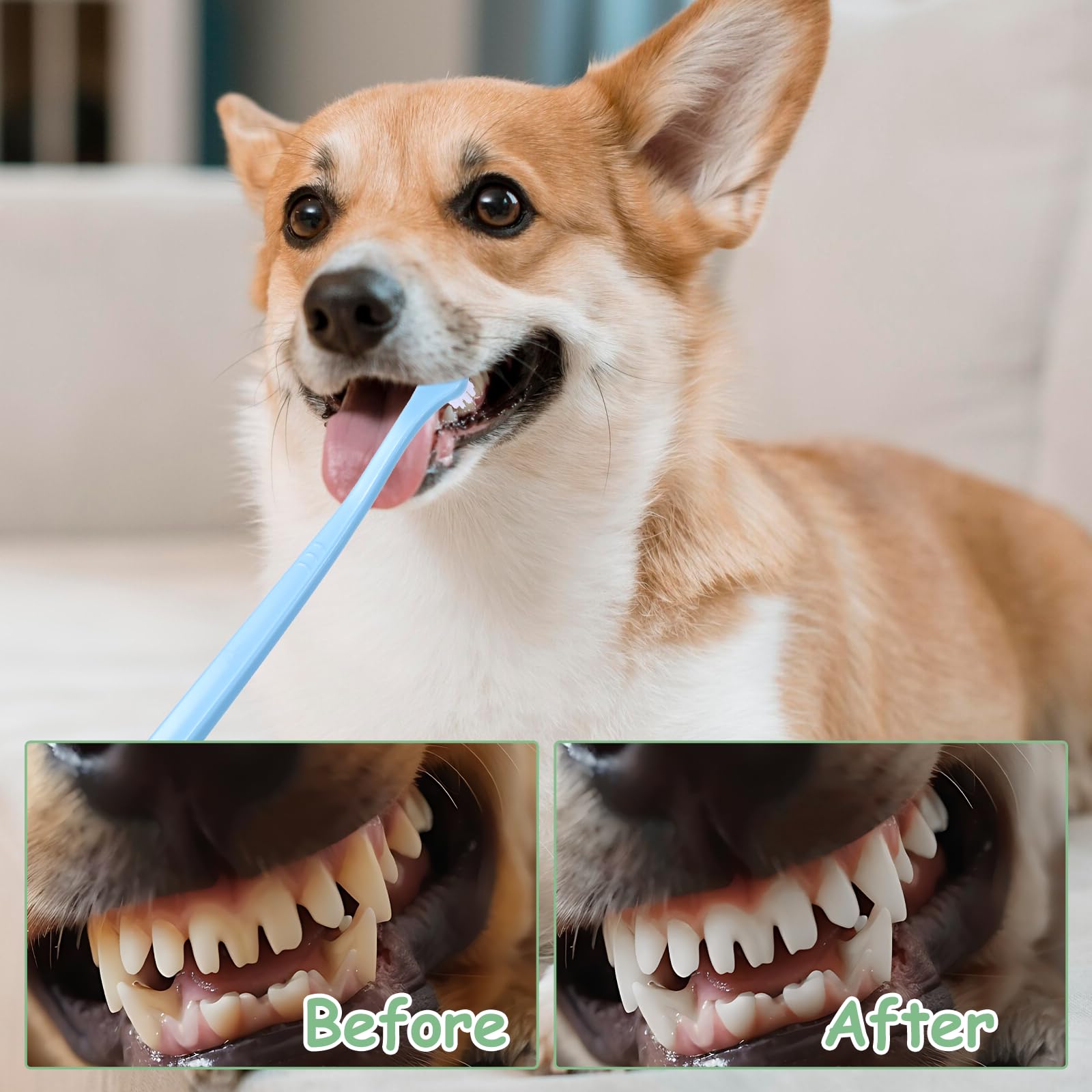 Lusofie 4pcs Dog Toothbrush Mini Head Puppy Toothbrush for Pet Toothbrush Cleaning Kit，Small Tooth Brush for Puppies Cat Tooth Brush Soft Bristles Small Dog Toothbrush Brushing Kit