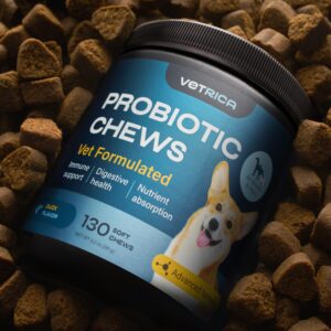 Probiotics for Dogs - Dog Probiotics for Digestive Health - Dog Gut Health Probiotics - Pet Probiotics for Dogs Gut Health Digestive & Immune Support - Probiotic Chews for Dogs with Digestive Enzymes