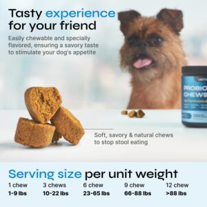 Probiotics for Dogs - Dog Probiotics for Digestive Health - Dog Gut Health Probiotics - Pet Probiotics for Dogs Gut Health Digestive & Immune Support - Probiotic Chews for Dogs with Digestive Enzymes