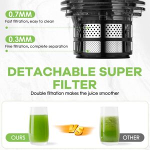 Masticating Juicer, 350W Slow Cold Press Juicer with 5.8" Extra-Large Feeding Chute, Juicer Machines for Whole Fruits and Vegetables, Easy to Clean with Brush