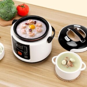 Mini Rice Cooker, 2L Portable Stick Proof Multifunctional Travel Rice Cooker with Inner Pot Steam Basket, 24H Reservation, Cooking Heating and Keeping Warm for Cars,