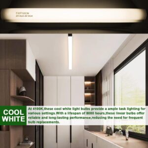 F20T12/CW 20 Watt Light Bulb Cool White, 24 Inch T12 Fluorescent Tube 20W Compatible with Philips Sylvania GE Light Fixture G13 Cap 4 Count