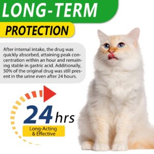 Antibiotics for Cats, Premium Cat Antibiotics Supplemen, Natural Antibiotic for Cats, Pet Supplements, Cat Antibiotics Supports Immune & Cats Allergy Relief, Cats Multivitamin - 2 Fl Oz / 60ML