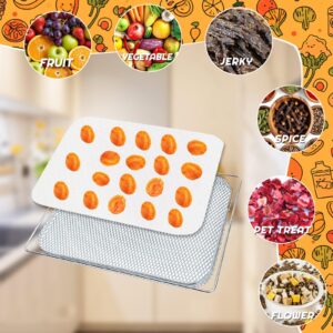 AIHSUMC 20 PCS Silicone Dehydrator Sheets, Premium Non-Stick Silicone Square Dryer Mats Reusable Steamer Mesh Mat for Fruit Dryer Dehydrator, Food Meat Vegetables Herbs Dehydrator Tray Liner 14x14 in