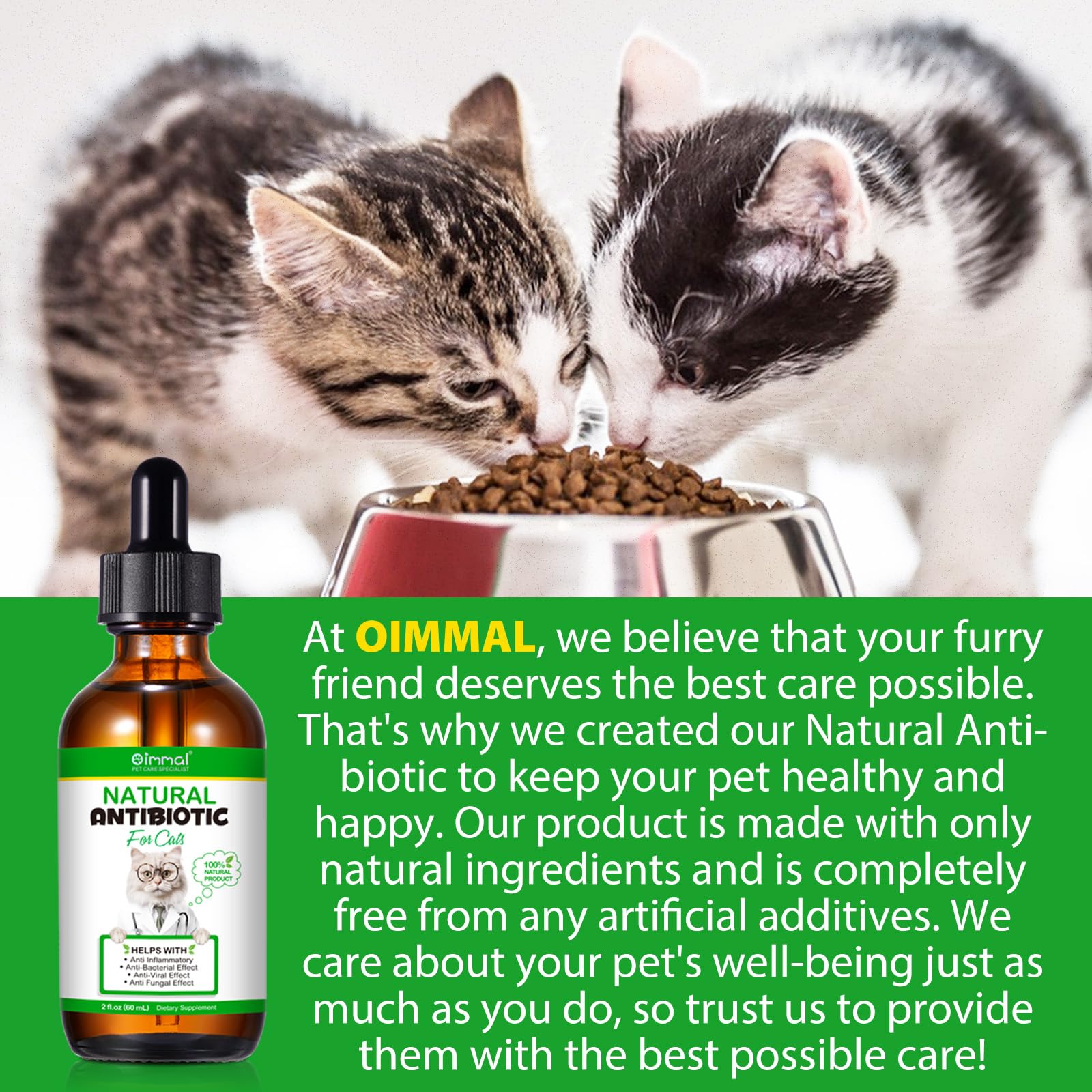 Antibiotics for Cats, Premium Cat Antibiotics Supplemen, Natural Antibiotic for Cats, Pet Supplements, Cat Antibiotics Supports Immune & Cats Allergy Relief, Cats Multivitamin - 2 Fl Oz / 60ML