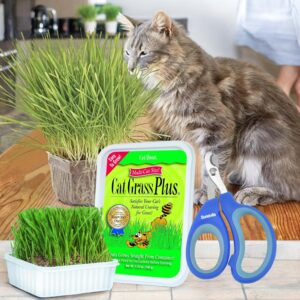 Cat Grass Plus Kit, 5.25 Oz | Bundled with Suretails Pet Nail Clipper - Grow Lush Greens Indoors, Complete with Seeds & Potting Mix, Promotes Digestion & Prevents Hairballs [Pack of 2]