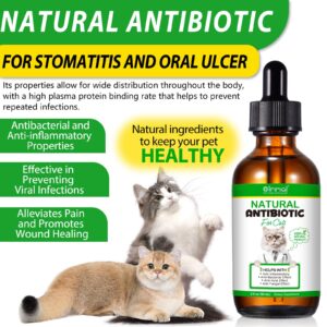 Antibiotics for Cats, Premium Cat Antibiotics Supplemen, Natural Antibiotic for Cats, Pet Supplements, Cat Antibiotics Supports Immune & Cats Allergy Relief, Cats Multivitamin - 2 Fl Oz / 60ML