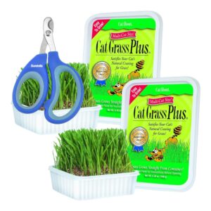 cat grass plus kit, 5.25 oz | bundled with suretails pet nail clipper - grow lush greens indoors, complete with seeds & potting mix, promotes digestion & prevents hairballs [pack of 2]