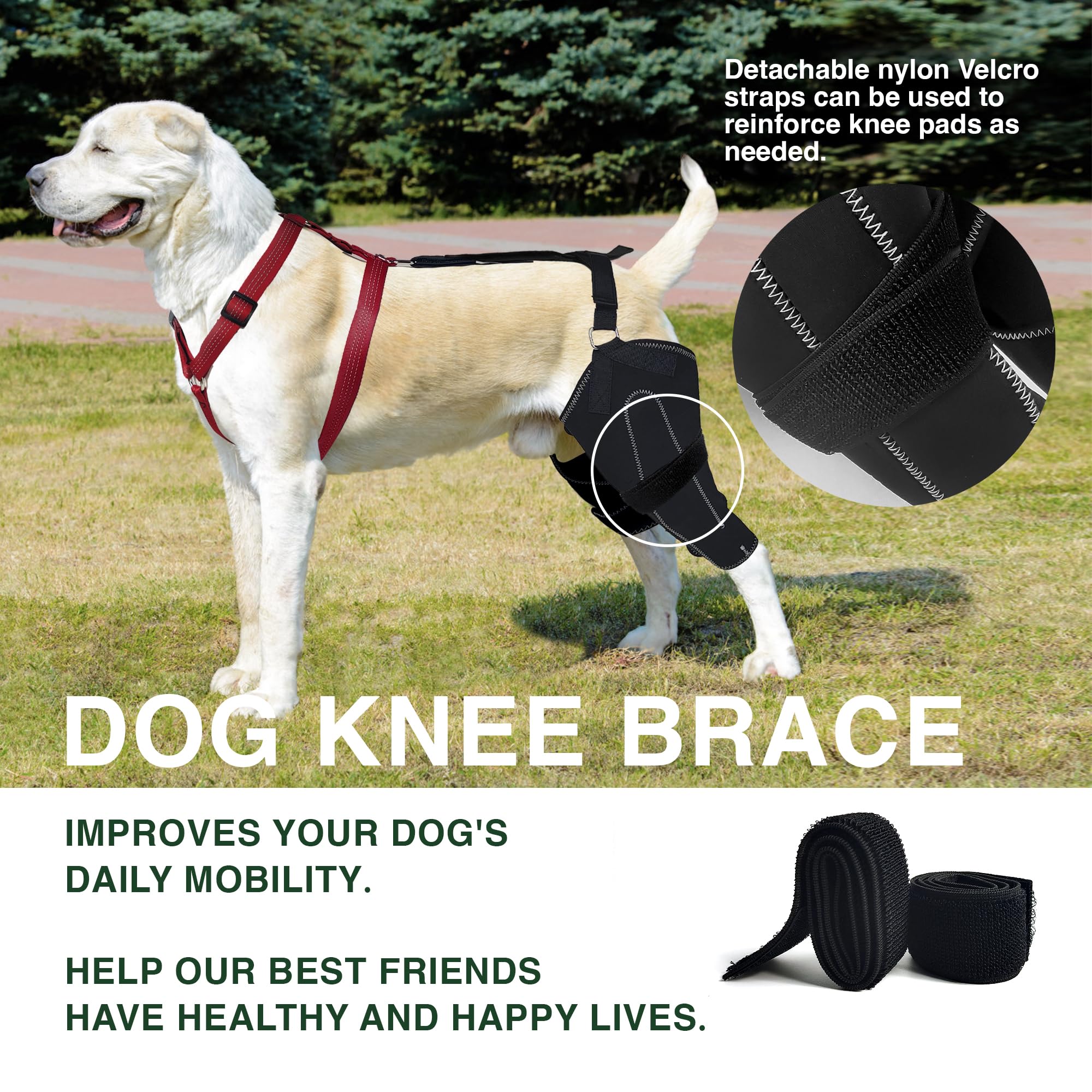 KISFLY Dog Knee Brace for Torn ACL Hind Leg Luxating Patella Dysplasia Arthritis Joint Pain Dog Leg Brace with Metal Hinged Support for Better Recovery Both Leg M