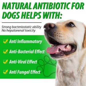 2 Pack Antibiotics for Dogs, Dog Antibiotics, Dog Supplies Antibiotics, Natural Dog Antibiotics Supports Dog Allergy and Itch Relief, Dog Multivitamin for Pets