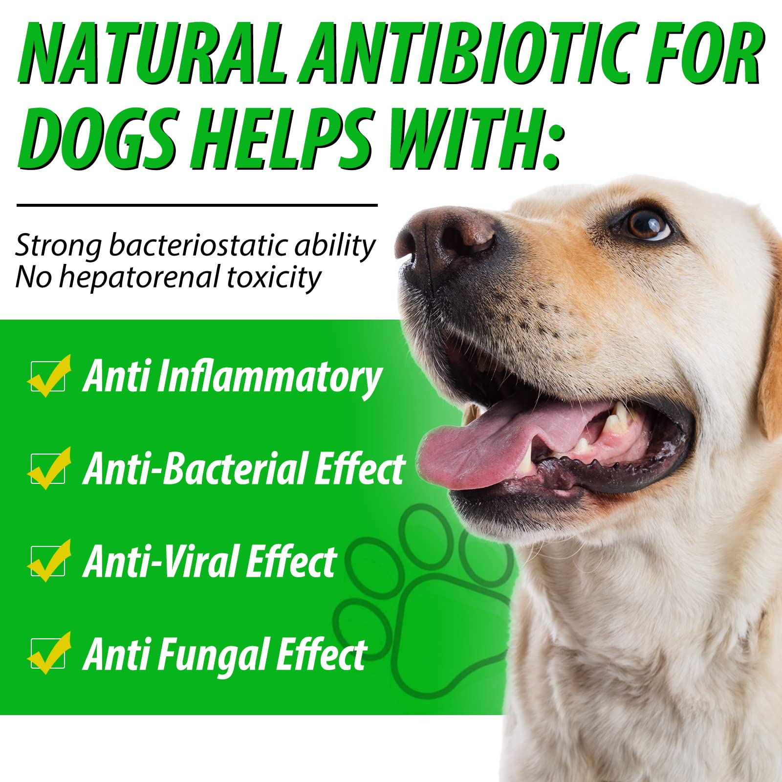 2 Pack Antibiotics for Dogs, Dog Antibiotics, Dog Supplies Antibiotics, Natural Dog Antibiotics Supports Dog Allergy and Itch Relief, Dog Multivitamin for Pets