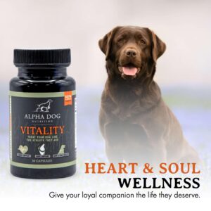 Krill Oil for Dogs - Vitality by Alpha Dog Nutrition – Reduces Dog Allergies, Itchiness, & Shedding – Promotes Healthy Skin and Coat