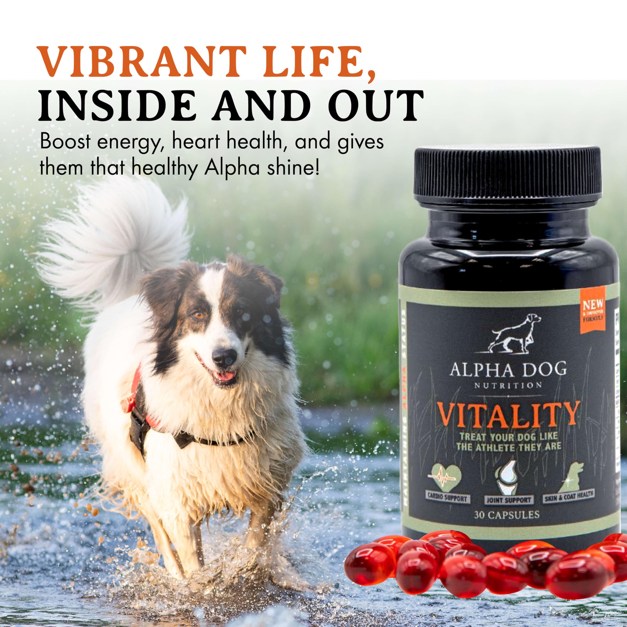 Krill Oil for Dogs - Vitality by Alpha Dog Nutrition – Reduces Dog Allergies, Itchiness, & Shedding – Promotes Healthy Skin and Coat