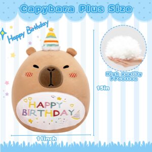 TITQWOP Happy Birthday Capybara Plush Pillow 14" Capybara Stuffed Animals Capybara Plush Birthday Gift for Kids Boys Girls