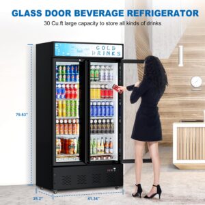 ECEVT 30 Cu.ft. Commercial Beverage Refrigerators Glass Door Refrigerator Upright Display Cooler with Soft LED Light and Adjustable Shelves for Restaurant Grocery Stores Home, Black