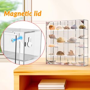 Seashell Display Box Large (20 Grids), Acrylic Magnetic Display Box, Clear Shell Case for Collectibles, Rock Collection Box, Figure Display Case, Wall and Desktop, Gifts for Friends and Family