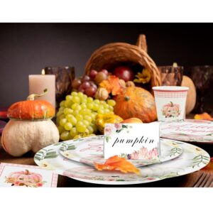 Pumpkin Party Supplies Tableware Set - Fall Theme Party Decorations Including Plates, Napkins and Cups for Pumpkin Birthday and Baby Shower Party, Serves 24 Guests (pink)