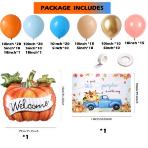 Little Pumpkin Baby Shower Decorations ,Boy Fall Pumpkin Balloon Garland Arch Kit with Dusty Blue Orange Blush Little Pumpkin is on the Way Backdrop for Thanksgiving Gender Reveal Birthday Decor