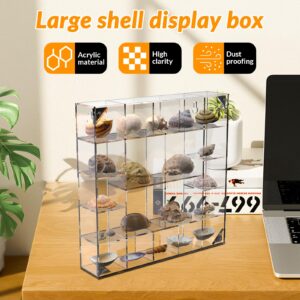 Seashell Display Box Large (20 Grids), Acrylic Magnetic Display Box, Clear Shell Case for Collectibles, Rock Collection Box, Figure Display Case, Wall and Desktop, Gifts for Friends and Family