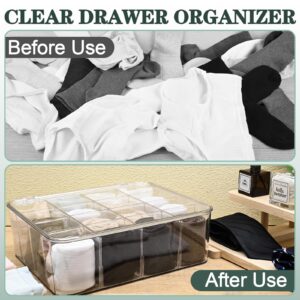 Hiitytin 2Pcs Socks Bra Underwear Drawer Organizer for Closet, Plastic Storage Box with 16 Removable Compartments and Lid, Clear Dresser Drawer Organizer Storage Container with Dividers for Ties Belts