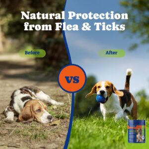 YoYoBay Flea and Tick Prevention for Dogs Chewable - 180 Soft Chews, Duck & Pear Flavor - Dog Flea and Tick Treatment Chewable, Natural Defense- Dog Immune Support Supplement