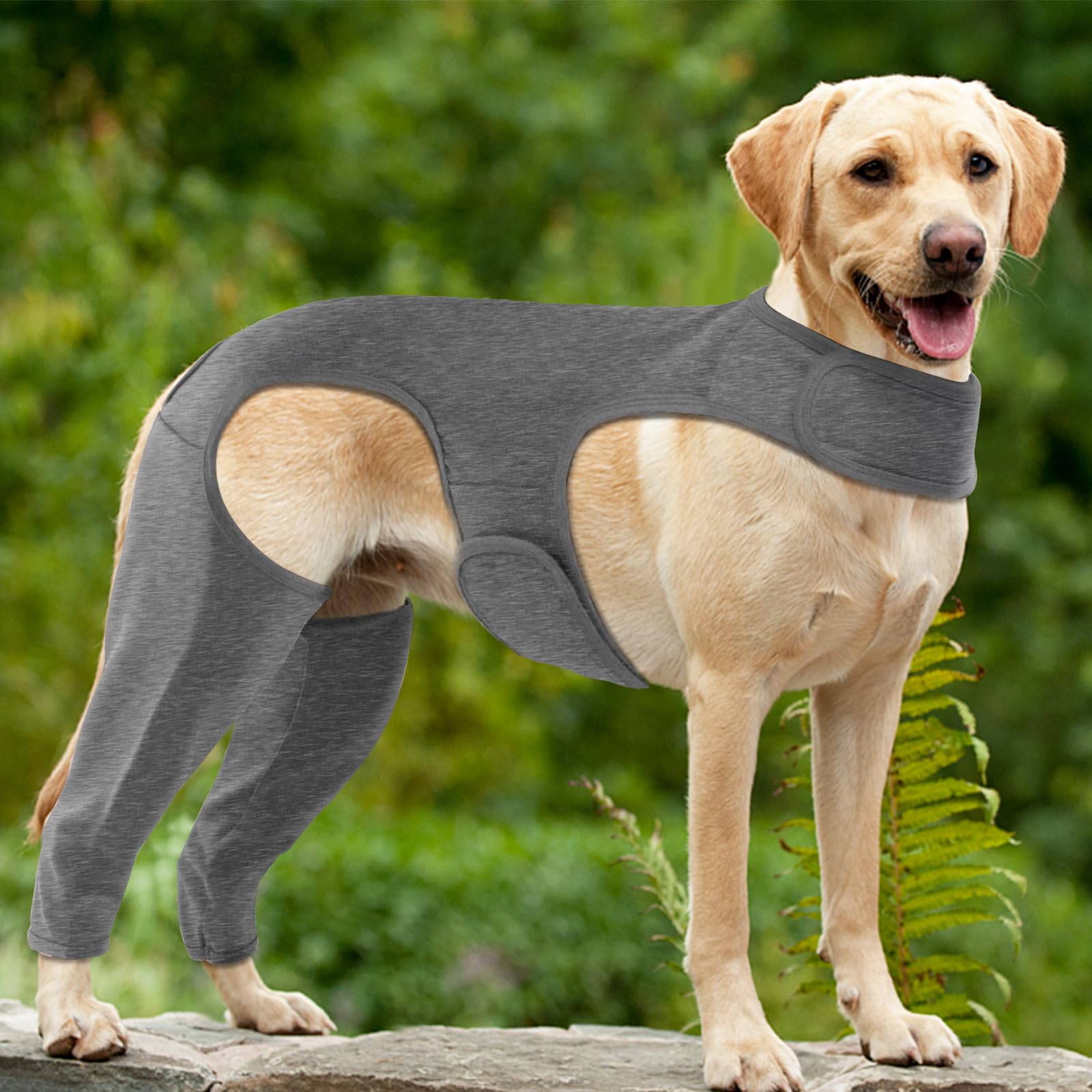 Yoolhamy Dog Surgery Recovery Suit, Dog Leg Wound Protector Brace, Comfortable Dog Elbow Protector Cone Alternative Prevent Licking Bite Long Sleeve Suits Leg Brace Support (Grey, S)