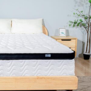 MOLBIUS Full Size Mattress 10 Inch | Full Mattresses in a Box Hybrid | Medium Firm Feel Memory Foam and Individual Pocket Springs | Fiberglass Free Bed Matress | Breathable | CertiPUR-US | Upgrade