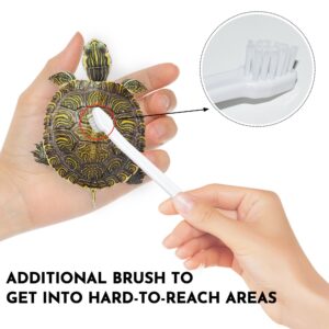 Turtle Brush with Suction Cup, Three High Suction Power Suction Cup Turtle Shell Cleaning Brush, Aquatic Turtle Tank Accessories Tortoise Supplies