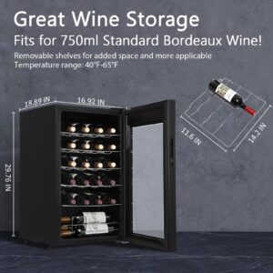 GarveeHome 28 Bottle Compressor Wine Cooler Refrigerator, Wine Fridge Freestanding Wine Cellar for Red Wine, White, Champagne, Sparkling Wine with Digital Temperature Control, Soft LED Light