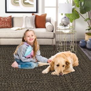 ROYHOME 9x12 Area Rug Large Machine Washable Rug for Living Room Print Braided Accent Rug Stain Resistant Non-Slip Carpet Rug Farmhouse Solid Printed Textured Floor Cover for Home Decor, Brown