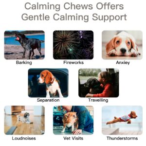 Hemp Calming Chews for Dogs Anxiety Stress Relief Treats Bites for Puppy Dog Sleep Aid with Hemp Oil - Thunder Barking Separation Noise Relieve Health Support Wellness Supplement