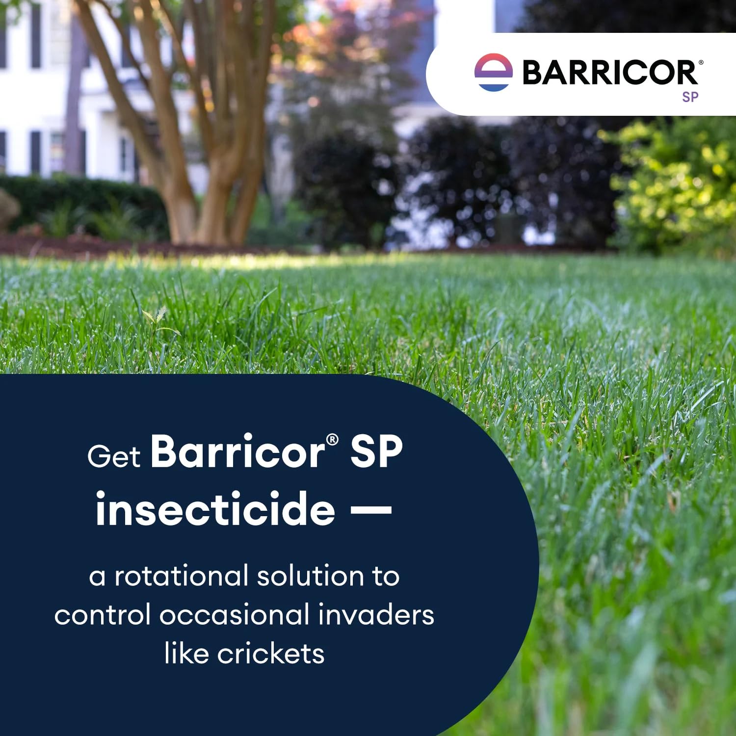 Bayer Barricor SP - 32oz Insecticide