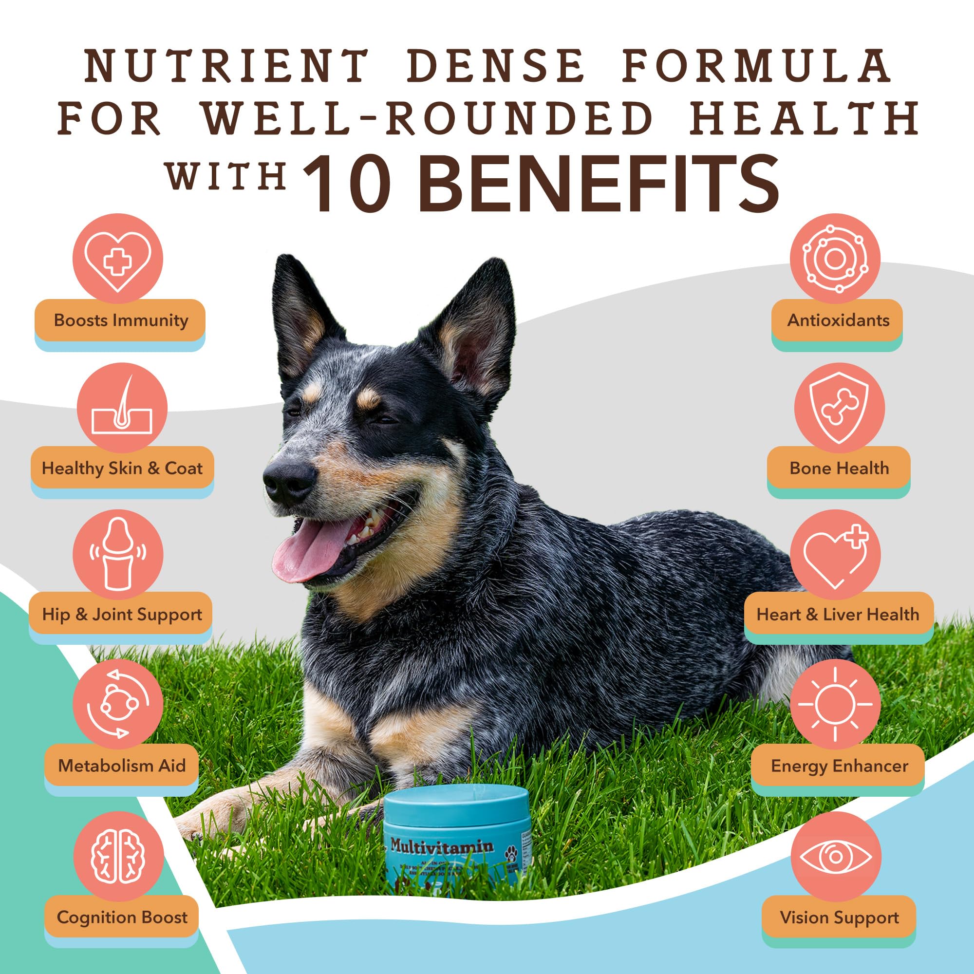 Natural Dog Company Multivitamin Chews and Ultra Omega Oil for Active Dogs - Nutrient-Rich Dog Treats with Omega-3 and Essential Vitamins, Supports Cognitive Health and Overall Vitality for All Breeds