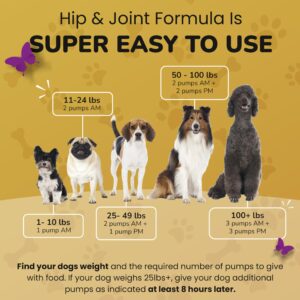 PetMade Dog Hip and Joint Supplement - Junior and Senior Dog Supplements for Mobility, Flexibility Support and Bone Strength, Deluxe Glucosamine Chondroitin for Dogs, 16 oz