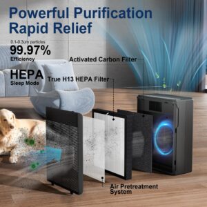 2-Pack P260 True HEPA Replacement Filter Compatible with AIUZLK P260 Air Purifier, 3-in-1 Filtration Filter.