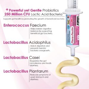 Oral Paste for Dogs & Cats-Helps Reduce Occasional Loose Stool & Diarrhea, Balance Gut pH, Support Normal Digestion & Intestinal Flora-Fast Acting Probiotic (60 CC - Tasty Chicken Flavor)