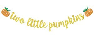 two little pumpkins banner, twins birthday party decor, boys girls little pumpkin decor, fall twins baby shower gender reveal party decorations, gold glitter