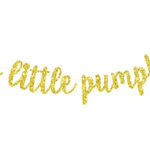 Two Little Pumpkins Banner, Twins Birthday Party Decor, Boys Girls Little Pumpkin Decor, Fall Twins Baby Shower Gender Reveal Party Decorations, Gold Glitter