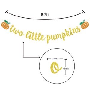 Two Little Pumpkins Banner, Twins Birthday Party Decor, Boys Girls Little Pumpkin Decor, Fall Twins Baby Shower Gender Reveal Party Decorations, Gold Glitter