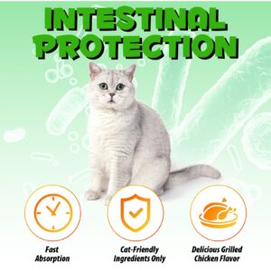 Cat Constipation Relief, Cat Constipation Liquid Drops Supports Cats Laxative Relief - Pet Herbal Supplements for Cats, Cat Stool Softener Cat Laxative Constipation Relief - Chicken Flavour / 2 Fl Oz