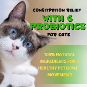 Cat Constipation Relief, Cat Constipation Liquid Drops Supports Cats Laxative Relief - Pet Herbal Supplements for Cats, Cat Stool Softener Cat Laxative Constipation Relief - Chicken Flavour / 2 Fl Oz