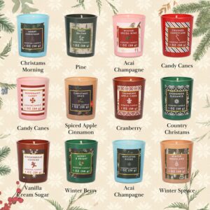 12 Days of Christmas Scented Candles Advent Calendar Candle Gift, 12PCS 1 oz Soy Wax Candles Christmas Candle Set Gift