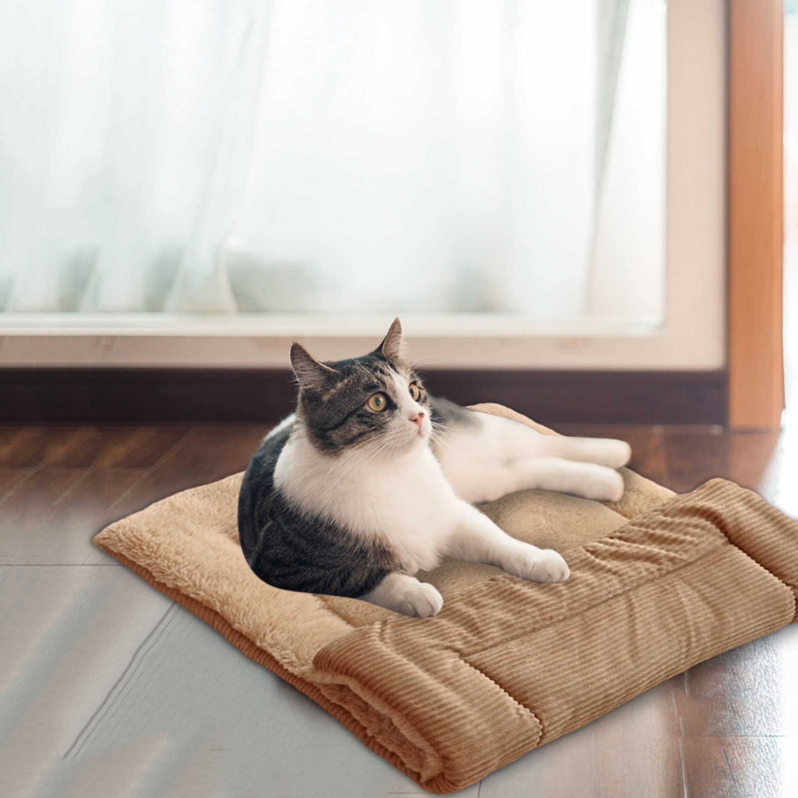 Dog Bed Calming Dog Beds for Medium Dogs Warehouse Clearance Square Cat Beds for Indoor Cats Washable Self Warming Pad for Dogs Anti-Slip Soft Anti Anxiety Dog Bed Cuddle Cup Cat Bed Dog Beds