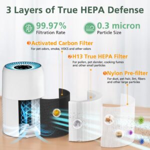 AP100-A/B Replacement Filter Compatible with AromaRoom AP100-A / AP100-B Pet Air Purifi-ers, 3-IN-1 H13 True HEPA and Activated Carbon Filter, Perfect Fit and Long Life for AP100-A/B, 2 Pack, White