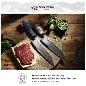 Tenkumun Japanese Gyutou 210mm Profession Kitchen Chef Knife Handcrafted 8 inch Nakri Knife Handmade Forged Knife Japan SG2 Powder Steel with Black Wood Handle…